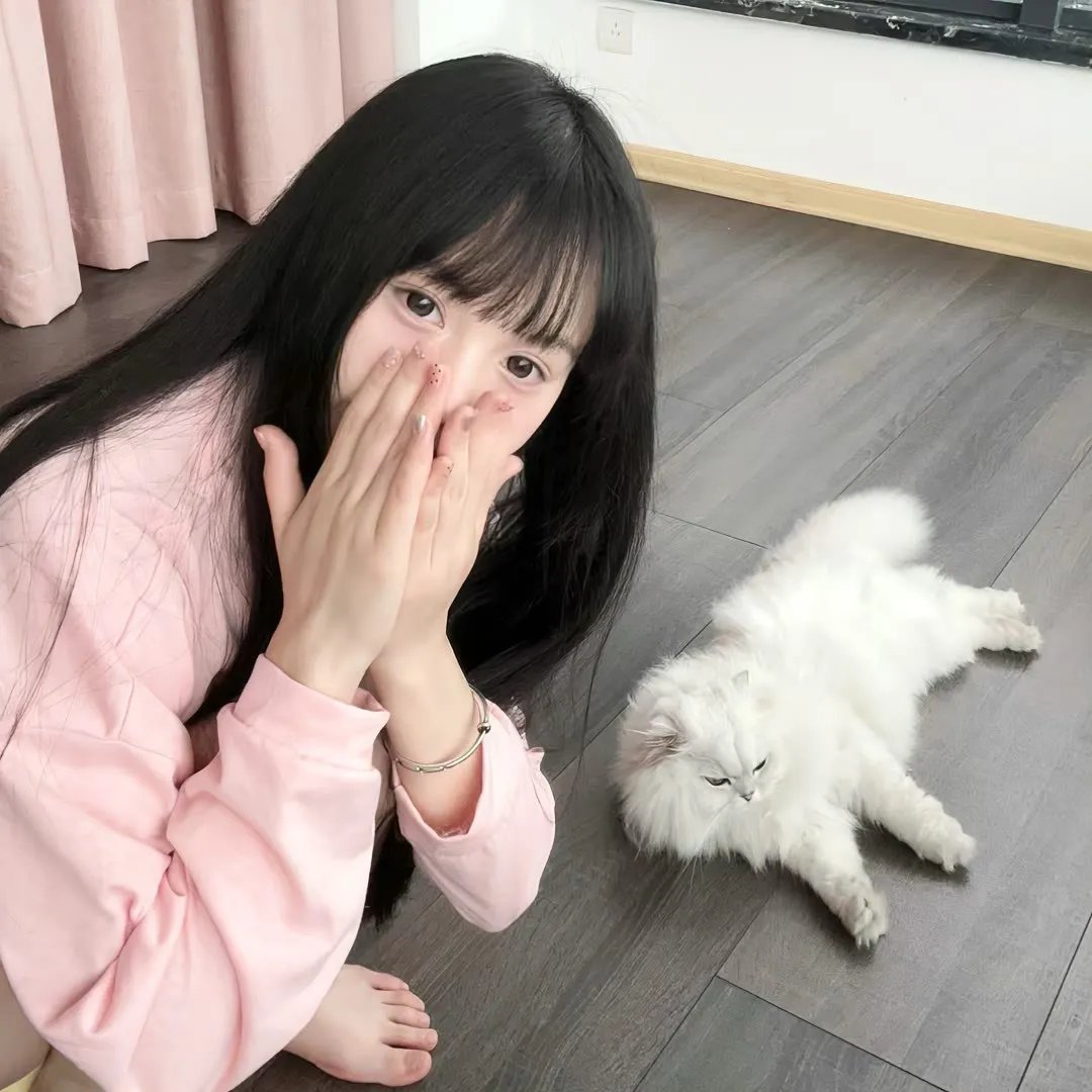 女鲁滨孙漂流记